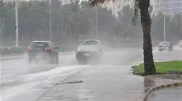 تحذيرات الأرصاد بمصر.. تقلبات جوية مرتقبة تشمل شبورة وأمطاراً ورياحاً مثيرة للأتربة اليوم